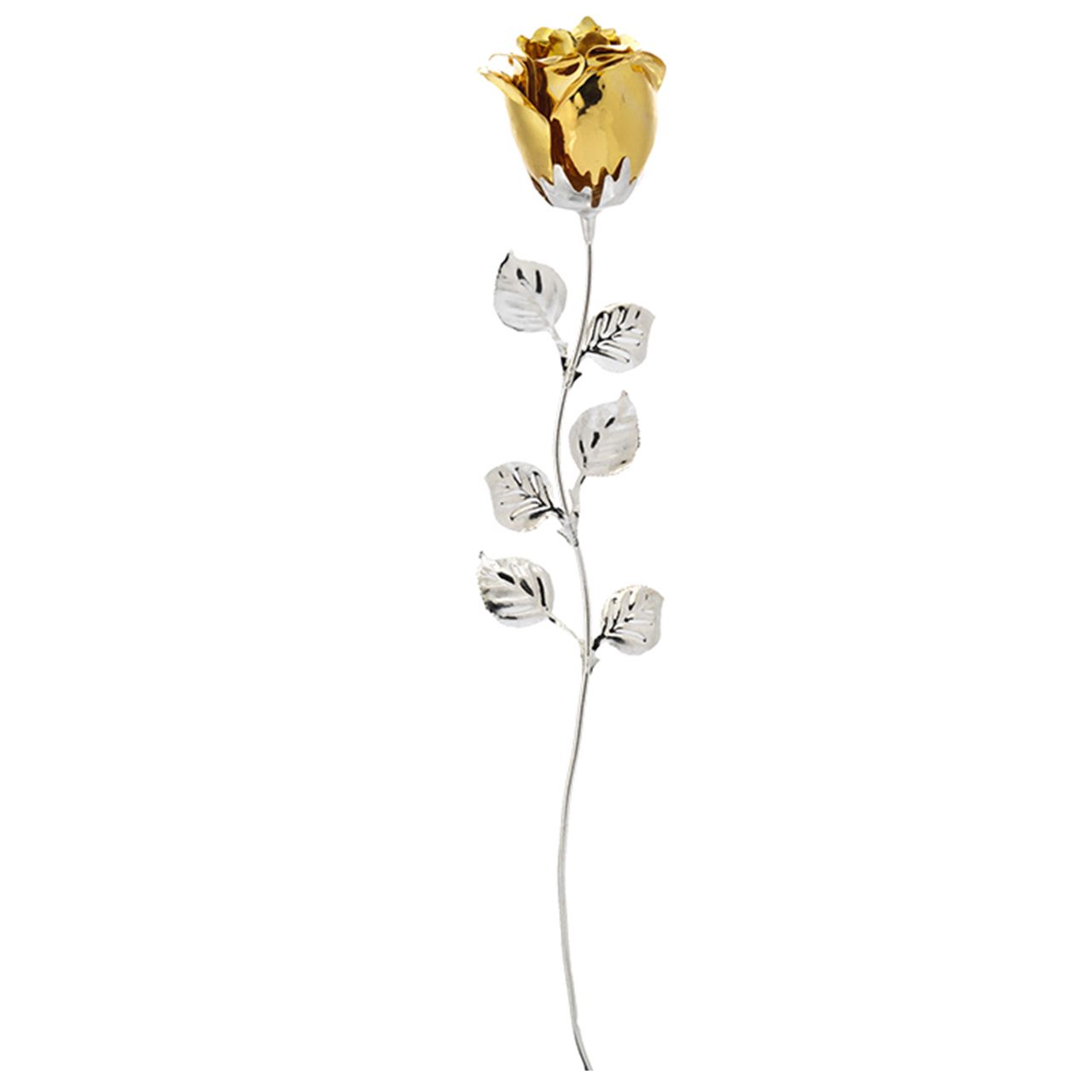 ROSA CM 33 - ORO